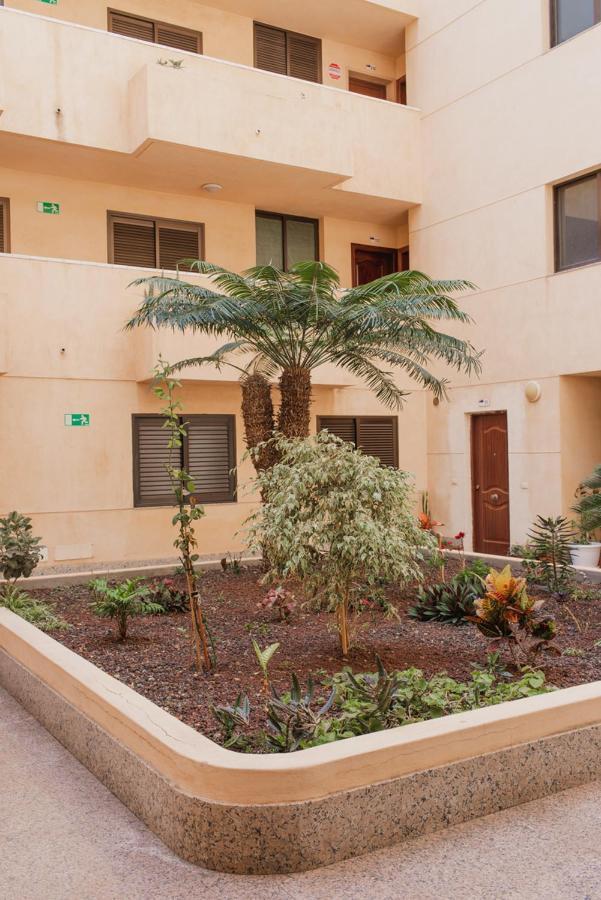 Apartamento Medano Granadilla De Abona Εξωτερικό φωτογραφία